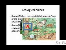 niche definition biology
